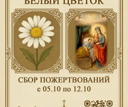 Благотворительная ярмарка «Белый цветок»